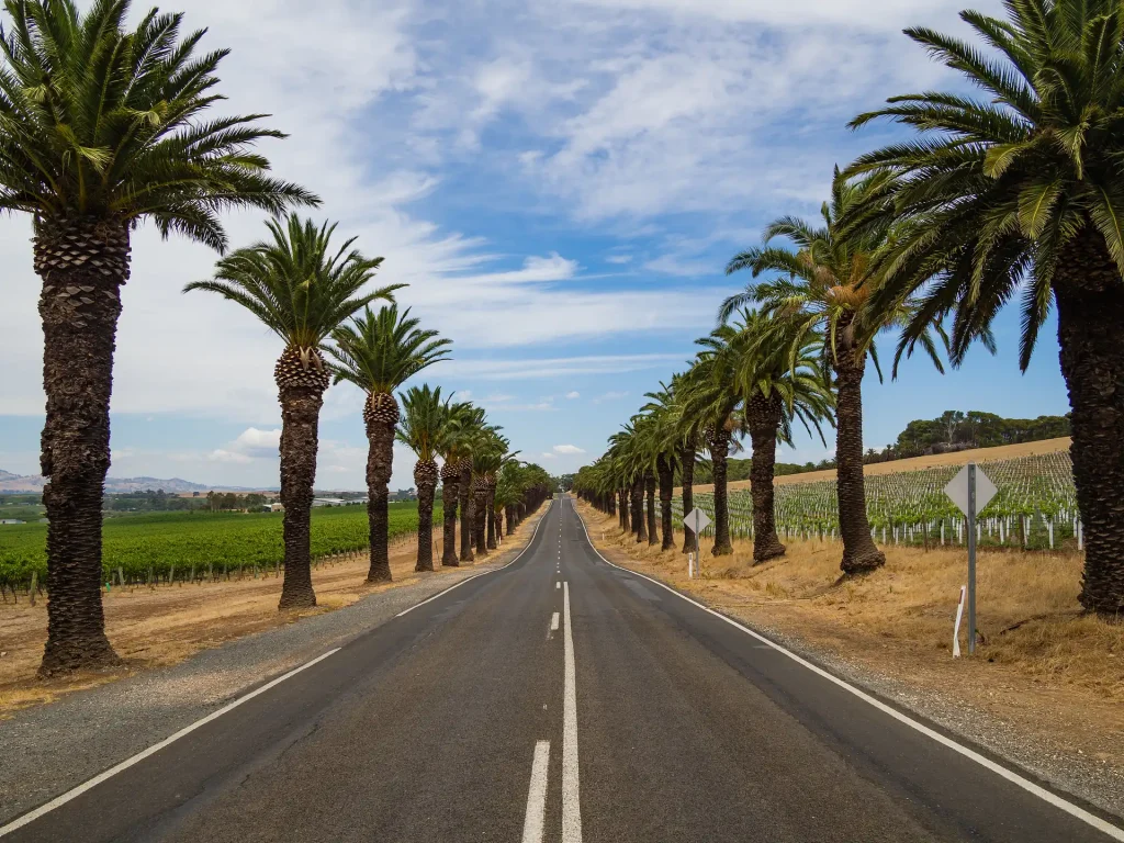Adelaide & Barossa Valley