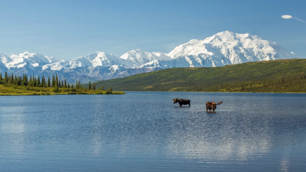 Denali National Park, Alaska